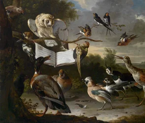 The Bird Concert
